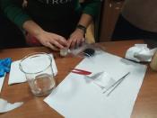 IMG-20200204-WA0031.jpg
